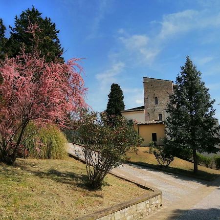 Vila Casa Per Ferie Ulivo D'Assisi Exteriér fotografie