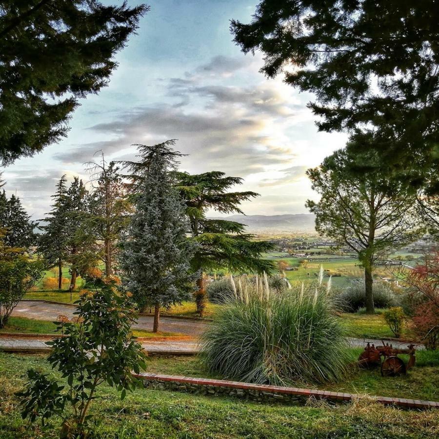 Vila Casa Per Ferie Ulivo D'Assisi Exteriér fotografie